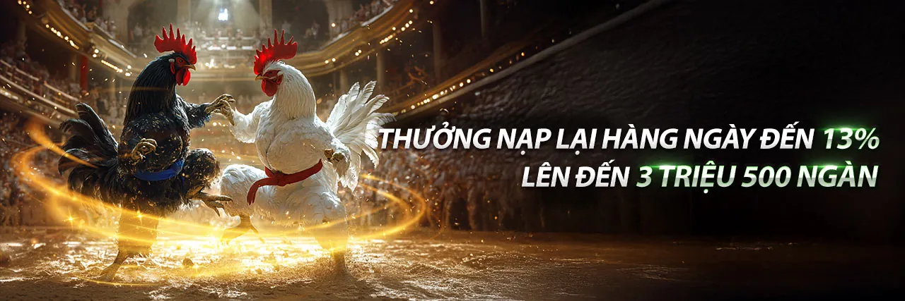 Sòng bạc trực tuyến 7clubs bet với người chia bài trực tiếp